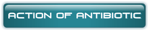 ACTION OF ANTIBIOTIC